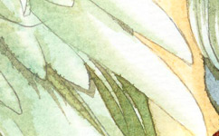 印刷如何选纸？印刷厂如何辨别印刷纸张好坏？